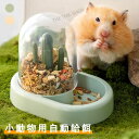 ハムスター 餌入れ 小動物用自動給餌 小鳥用食器 エサ入れ 食器 ハリネズミ お留守番対策 えさいれ モモンガ モルモット フードボウル 自動 餌やり 固定 えさ皿 キンクマ エサ 器 小動物 自動給餌器 無駄防ぐ 飛び散り対策 透明 組立て簡単(4)