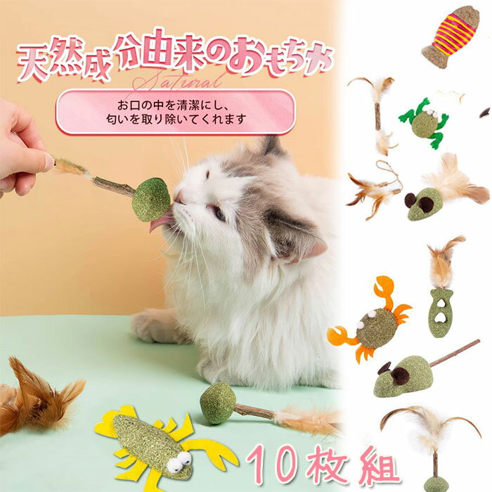 10個 猫用 猫歯ぎしり棒 猫おもちゃ 