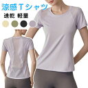 tシャツ レディース 半袖 ヨガウェア レディース 美背 トレーニングウェア ランニング ウオーキング トップス 半袖 ジム 運動服 吸汗速乾 軽量 通気性抜群 朝ラン 夜ラン 走る プラティーク ホットヨガ 涼し かわいい お洒落 オシャレ グレー パープル 20代 30代 40代