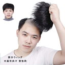 部分かつら メンズ つむじウィッグ ヘアトップピース 人毛 男性用 ポイントウィッグ 増毛 ハゲ隠し てっぺん対策 総手植え 自然 通気 黒色 メンズかつら 中...