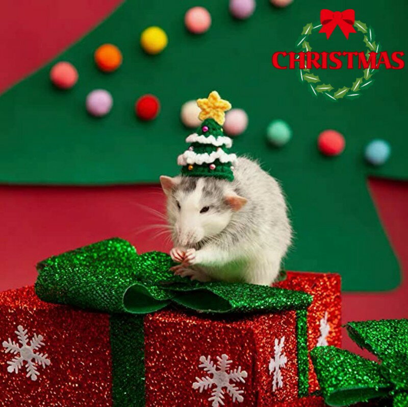 ペット用 小型ペット ハムスター ハリネズミ チンチラ デグー レオパードゲッコー フトアゴヒゲトカゲ 爬虫類 多種類対応 帽子 ハット ニット帽 毛糸 手編み 手作り ハンドクラフト フード コスチューム コスプレ衣装 コスプレ小物 変身グッズ