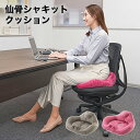 仙骨シャキットクッション (ローズ)(グレージュ) // 背筋 伸ばし 矯正 姿勢 骨盤 正しい コジット