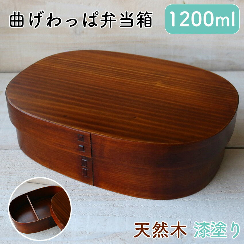 4/4 20:00〜 当店限定P5倍 × マラソン ◆曲げわっぱ お弁当箱 若兆 天然木 漆塗り 大判型 一段 1200ml // 曲げわっぱ弁当箱 漆塗り 弁当 弁当箱 まげわっぱ弁当 曲げわっぱ弁当 ゴムバンド 仕切り付き シンプル 特大 茶 若兆