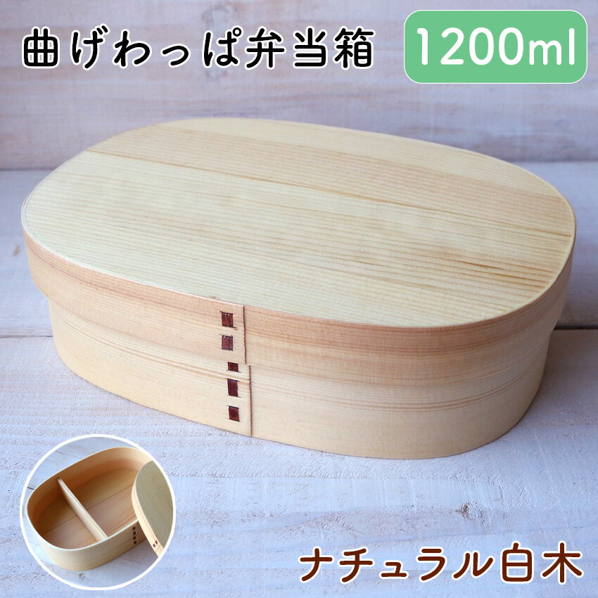 Rakuten - 6/20 20:00〜 先着限定クーポン × マラソン ◆若兆 曲げわっぱ弁当箱 天然木 ナチュラル 白木 大判型 一段 1200ml // 曲げわっぱ ナチュラル白木 お弁当箱 弁当 弁当箱 まげわっぱ弁当 曲げわっぱ弁当 ゴムバンド 仕切り付き シンプル 特大 若兆