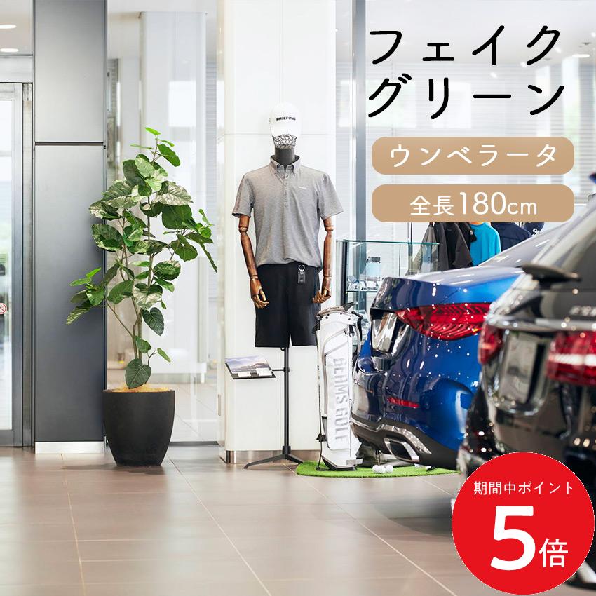 Rakuten - 6/20 20:00〜 先着限定クーポン × マラソン ◆フェイクグリーン ウンベラータ 全長1.8m glp1512 // ポピー 造花 インテリア リアル 本物そっくり 手入れ不要 リアルグリーン 緑 癒し ストレス軽減 植物　人工観葉植物 180cm