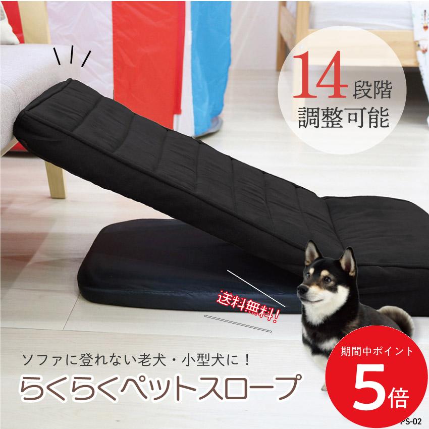 1/9 20:00�� ��Ź����P5�� �� ��ŷ�ޥ饽�� �����¥���ӥ� �ڥåȥ������� PS-02 // �ڥå� �������� �ɥå��������� ���ƥå� �ڥåȥ���...