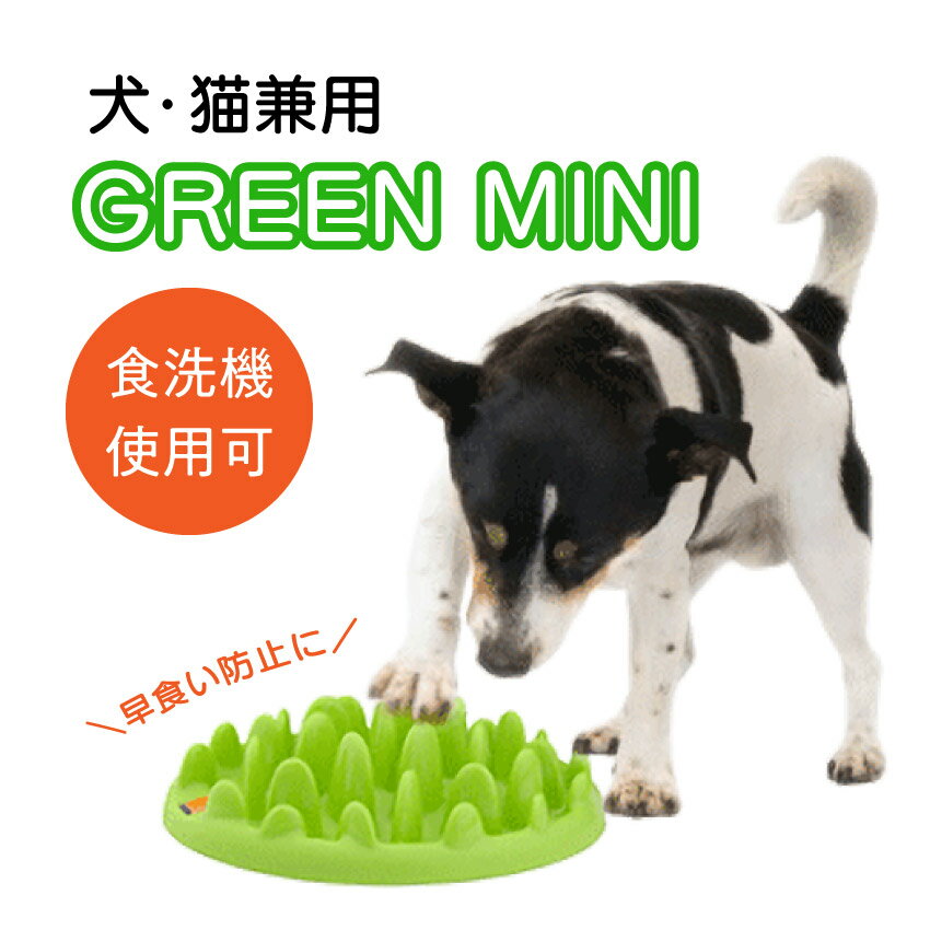 ꡼ե ꡼ߥ GREEN MINI //ڥå Ῡɻ ڥå ե Ĥ ץ쥼 Ѳ...