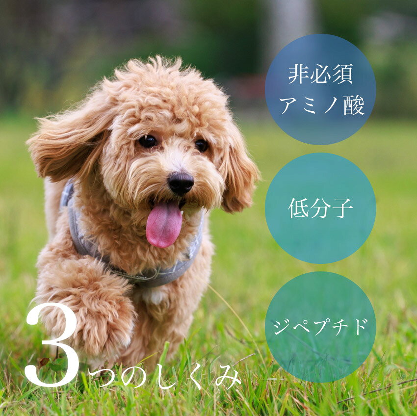 7/19 20:00〜 先着限定クーポン × マラソン ◆犬用 あしたも走ろっ。（40g）// ニッピ 牛由来 タンパク質 コラーゲン アミノ酸 日本製 国産 安い 関節 骨 皮膚 足腰 毛並み 健康 健康維持 動物病院 共同開発 犬用健康補助食品 ザペット tno-10004325 LIFE LUCK サンプル画像3