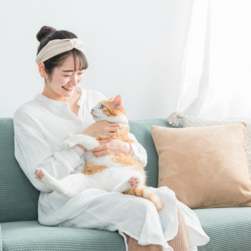 7/19 20:00〜 先着限定クーポン × マラソン ◆猫用 あしたも遊ぼっ。（牛由来） 160g // ニッピ 牛由来 タンパク質 コラーゲン アミノ酸 日本製 国産 安い 関節 骨 皮膚 足腰 毛並み 健康 健康維持 動物病院 共同開発 猫用健康補助食品 猫 ザペット tno-10004335 LIFE LUCK サンプル画像2
