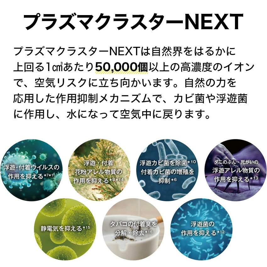 7/19 20:00〜 先着限定クーポン × マラソン ◆【購入者全員に「カーボンマットミニ1...