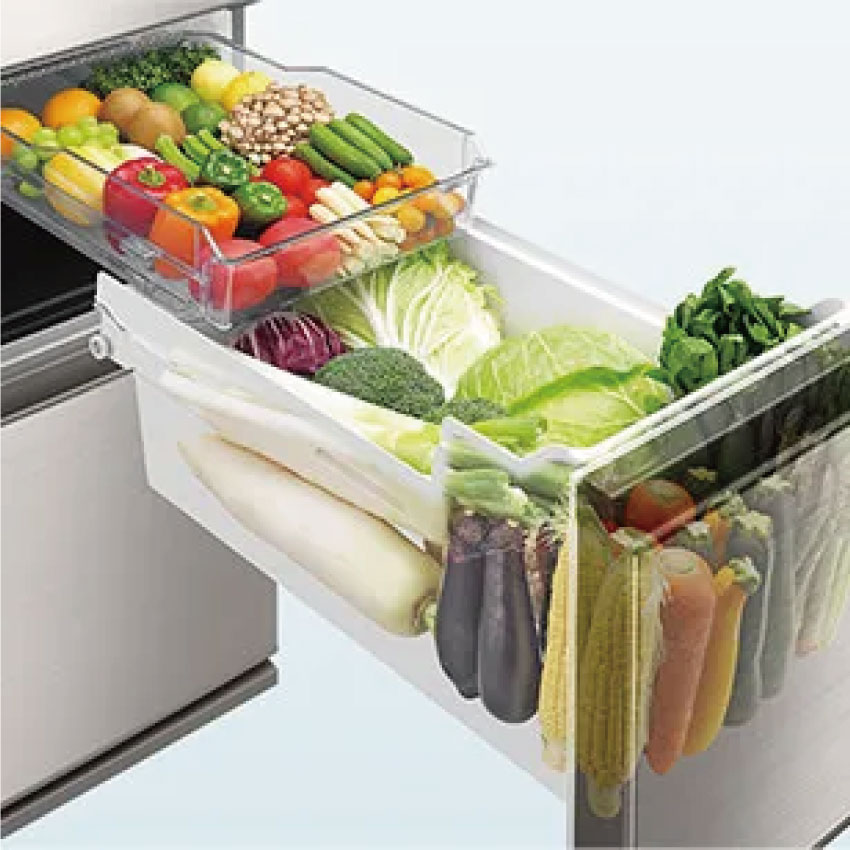 SHARP（シャープ）『冷蔵庫502LSJ-SF50M-S』