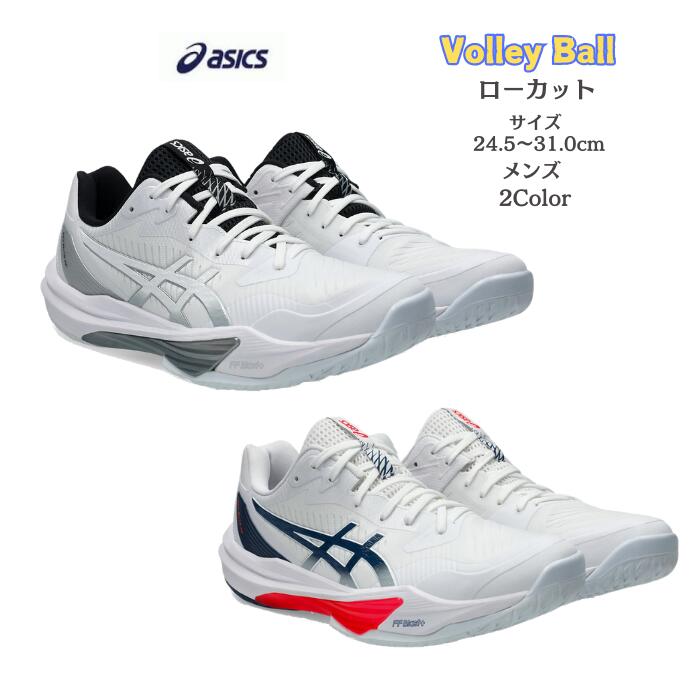 ʥ饹ݡġŷԾŹ㤨֥Х졼ܡ륷塼 å SKY ELITE FF LO 3 եååץǥ ­STANDARD asics å 1051A080 104 105 ̵ ꡼   ⹻  塼 Х졼ܡ Х졼 Х졼塼פβǤʤ13,500ߤˤʤޤ