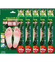 【送料無料】天然樹液の吸水パワー、足裏シートの新定番!足裏樹液シート30枚入“5箱セット”(4)