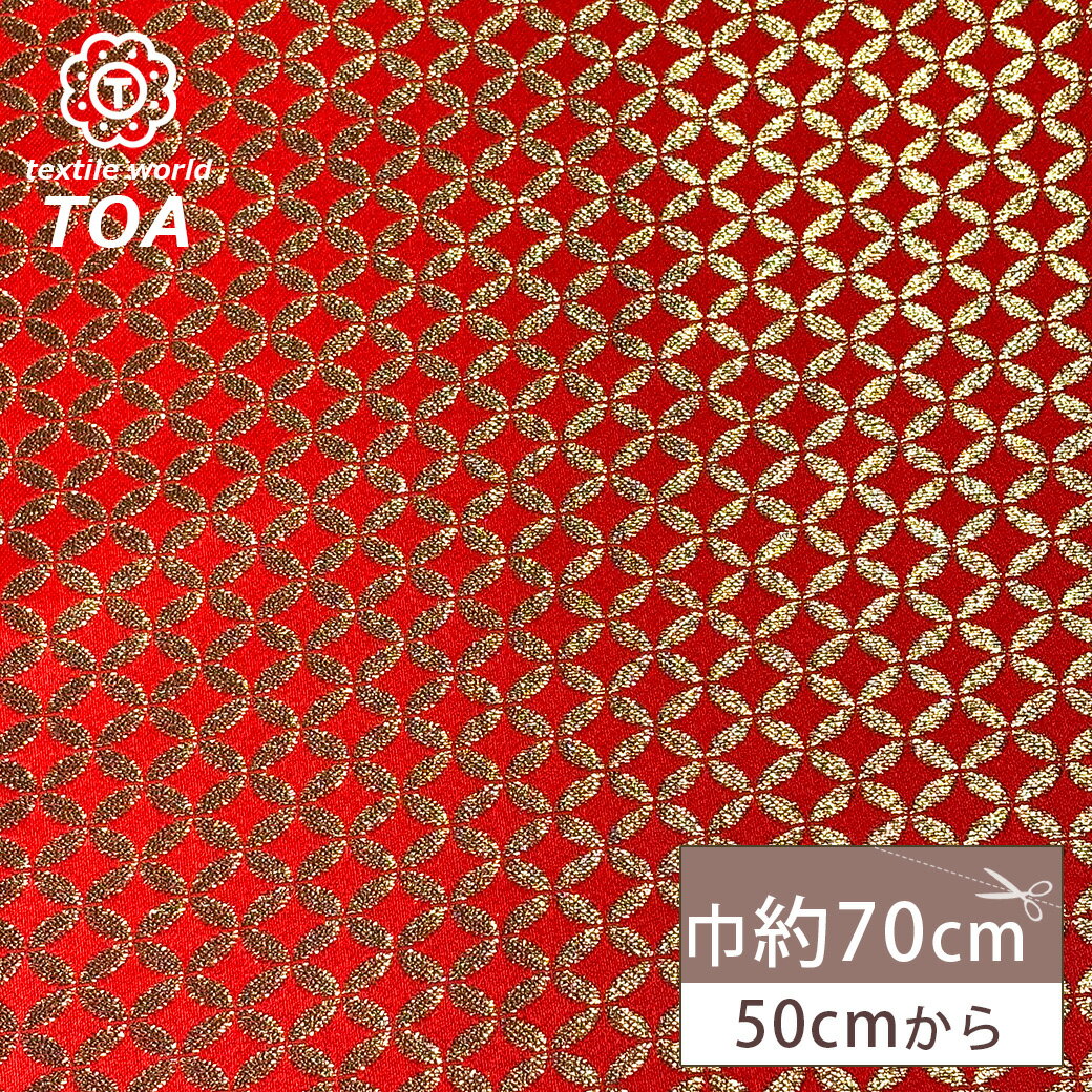 �ڤޤȤ��㤤�����ݥ��оݡ� ���� �� ��� �ֶ� �� ������� �������� ������ʪ ��70cm�� �ڤ䤫 �Ÿ��� ��ʪ �� ���� ���� ���޸� ��� ���� �ͷ�...