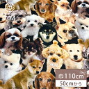 【マラソン期間P5倍】 生地 【 インクジェットプリント 犬 】 シーチング シーチング生地 インクジェットプリント デジタルプリント イヌ リアルドッグ 写真...
