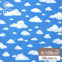 生地 【 雲柄 sky fabric ソライロ 】くも柄 雲 雲柄 空柄 水色 108cm巾 コットン 綿100% 薄手 入園 入学 新学期準備 幼稚園 レッスンバッグ 習い事バッグ 巾着 巾着袋 給食袋 ハンドメイド 手芸 Textile World TOA