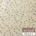 生地 【 ランダムスター サーモングリーン 】 サテン生地 サテン布 ポリエステルサテン 112cm巾 星柄 スター 仮装 コスプレ 衣装 光沢 エレガント さ...