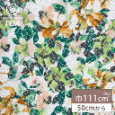 生地 【 ラッセルレース ライト 】 レース レース生地 ラッセルレース生地 刺繍 レース刺繍 花柄 植物柄 ボタニカル 伸縮性 ワンピーズ チュニック スカート カーテン テーブルクロス ブライダル ウェディング コスプレ ポリエステル エレガント 可愛い Textile World TOA