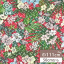生地 【 ラッセルレース ダーク 】 レース レース生地 ラッセルレース生地 刺繍 レース刺繍 花柄 植物柄 ボタニカル 伸縮性 ワンピーズ チュニック スカート カーテン テーブルクロス ブライダル ウェディング コスプレ ポリエステル エレガント 可愛い Textile World TOA