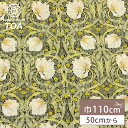 生地 【 V&A Fabric Collection ピンパネル 】 シーチング 英国 イギリス ロンドン ヴィクトリア&アルバート博物館 ウィリアムモリス モ...
