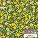 生地 【 V&A Fabric Collection フルーツ エバーグリーン 】 シーチング 英国 イギリス ロンドン ヴィクトリア&アルバート博物館 ウィリ...