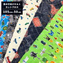 生地 【 キルティング カットクロス 男の子向け 105cm×50cm 1枚入 】 キルト生地 キルティング生地 入園入学 はぎれ カットクロス ハギレ 入園 ...