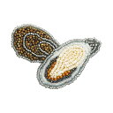 【まとめ買いクーポン】 【 MIYUKI はらぺこブローチ カキ oyster 】 刺しゅうキット ブローチ ビーズ刺繍 刺しゅう ビーズキット ビーズ 刺繍 おでかけ アクセサリー おでかけブローチキット はらぺこブローチキット ビーズ刺繍キット ビー