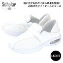 ScholarLABO SL-003 XJ[{ fB[X NbO T_ T{ i[XV[Y 2WAY y a@ {  Ōt d 㗚  R