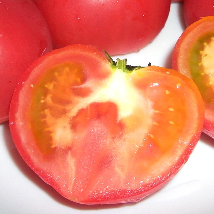 x A[g}g 1kg|g}g t[cg}g ~jg}g v`g}g AƂ܂ tomato