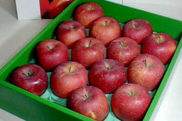 ふじりんご(サンふじりんご) 化粧箱入り 長野・青森産 (5kg 大玉 14〜16個入り)ご贈答おすすめ果物です|ギフト gift サン富士 お歳暮 プレゼント