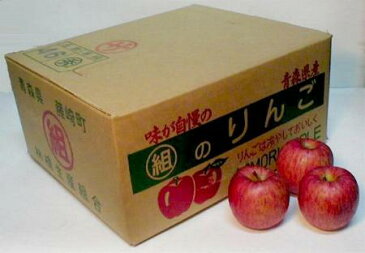 【送料無料】青森産 藤崎町 訳あり まるくみりんご園 のサンふじりんご 約5kg 18〜25個入り「減農薬・有機栽培」|アップル 林檎 リンゴ
