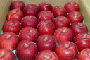 青森産 紅玉リンゴ こうぎょくりんご 約5kg 小玉 23〜25個入り CA貯蔵 |まんこ コウギョク べにたま 林檎 アップル パイ ジュース ジャム ケーキ