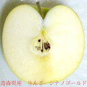 送料無料 青森産「訳あり」シナノゴールドリンゴ　約5kg 13〜23個前後入り|CA貯蔵　林檎　アップル