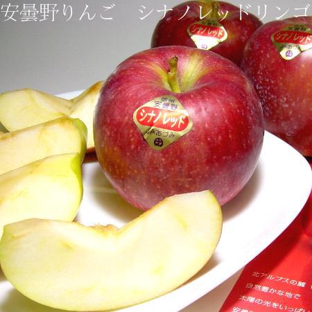 【お試し　送料無料！】「訳有り」安曇野高原の　シナノレッドりんご　5kg　小玉　23〜25個入り　長野産　夏りんご　【林檎ジュース、リンゴジャム　アップル　赤いりんご】P20Aug16のサムネイル
