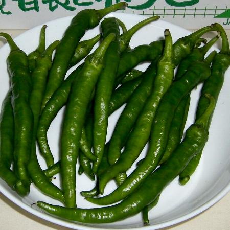京都産 伏見とうがらし ふしみとうがらし 約1kg 京野菜|京のブランド産品 伏見甘長唐辛子 京やさい 伝統野菜 唐辛子 ひもとう 青唐 京都産 伏見とうがらし ふしみとうがらし 約1kg 京野菜|京のブランド産品 伏見甘長唐辛子 京やさい 伝統野菜 唐辛子 ひもとう 青唐