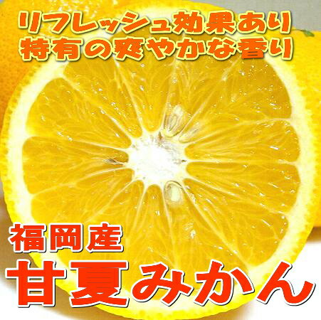 糸島の　甘夏みかん（あまなつみかん）Lサイズ　約10kg(28個前後入り)　福岡産日本の夏を予感させる、爽やかな”かんきつ”です。糸島産