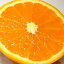 【送料無料】訳あり 有田 清見オレンジ (タンゴール)約2kg 小玉サイズ S〜M(16〜18個前後入り)和歌山産少し外観にキズある訳あり きよみ 送料0円【ラッキーシール対応】