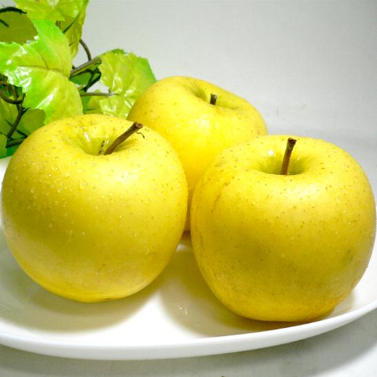 長野産 信濃高原の シナノゴールドりんご 約10kg 中玉 36〜40個入り|リンゴ アップル 林檎 信州りんご