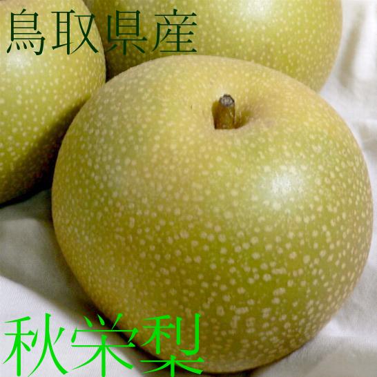 秋栄梨(あきばえなし)　約5kg　特大サイズ　10〜12個入り　鳥取産 赤ナシのサムネイル