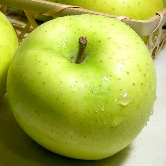 岩手・青森産　黄王リンゴ　きおうりんご　約5kg　小玉　23個入り 糖度14度前後|アップル 林檎 りんご