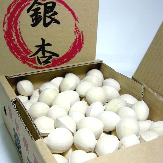 愛知産　銀杏　（ぎんなん）　2Lサイズ　500g(100個前後入り)秋の風物詩　土瓶蒸し　茶碗蒸し　イチョウ02P12Oct15