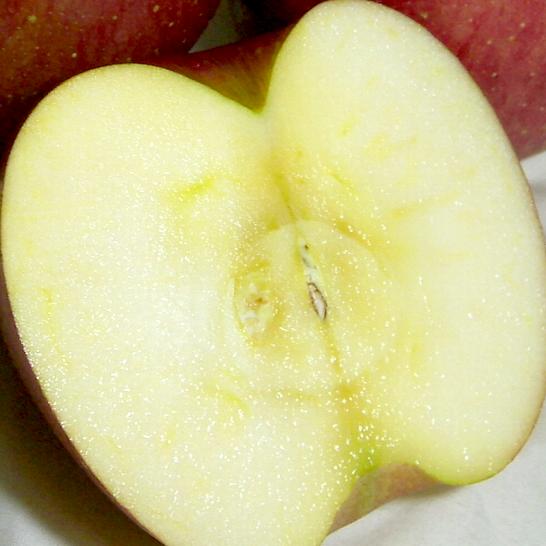 青森産 サンふじリンゴ 約5kg 中玉 18〜20個入り CA貯蔵りんご |青森りんご CAりんご　サン富士　専用冷蔵庫で保管されました サンフジ 林檎 リンゴ