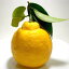 和歌山特産　有田「田村」葉つき　三宝柑（さんぼうかん）Mサイズ　10kg　63個入り造形の面白い、爽やかな風味の柑橘です。和食調理用にも利用されます。　生食可 紀州土産【和風食材】【ラッキーシール対応】