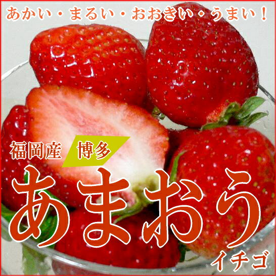 福岡特産イチゴ「博多あまおう」イチゴ