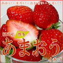 福岡特産イチゴ「博多あまおう」イチゴ デラックス（大粒 18個前後入り）2パック入り箱目に痛いほど鮮やかに赤く、大きく、濃い味の苺（いちご）です。 あまおう/いちご/イチゴ/甘王/福岡産【ラッキーシール対応】