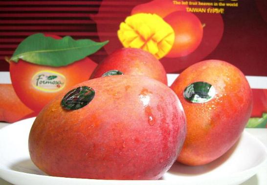 マンゴー 台湾産 アップルマンゴー 大玉 12〜14個入り|たいわん アップルマンゴー MANGO 芒果 ギフト プレゼント 台湾マンゴー