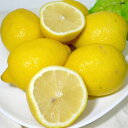 レモン 中玉 約4kg 中玉 32個入り 外国産 アメリカ・チリ産 |黄色いレモン 柑橘【140】 2