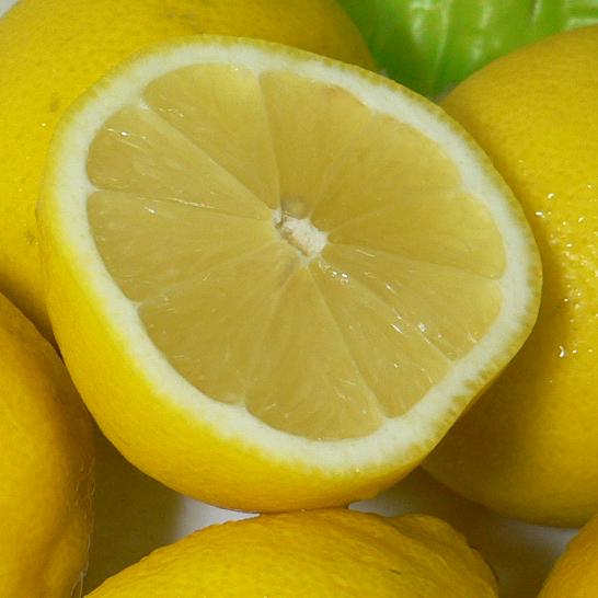 レモンの日限定セール【送料無料】アメリカ・チリ産　レモン　2.5kg　中玉　20個入り|れもん　ビタミンC　レモネードのサムネイル