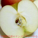【送料無料】安曇野 あづみの高原の 訳あり サンつがる リンゴ 約5kg 小玉 23〜25個入り りんご　アップル　林檎　信濃　夏りんご