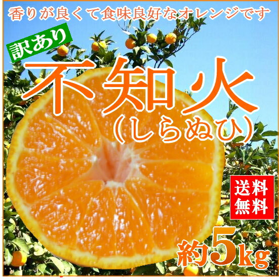 送料無料】【訳あり】不知火（しらぬひ）5kg (サイズお任せ20〜28個前後入り)コクのある甘い柑橘。小粒であったりやや外観が難ありの 訳ありしらぬひ（デコポン） です。ご自宅用/しらぬい/でこぽん【ラッキーシール対応】